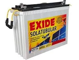 EXIDE 6 LMS 150
